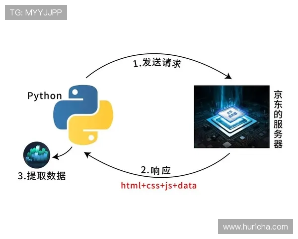 畅玩足球皇冠app，入门指南与常见问题解答