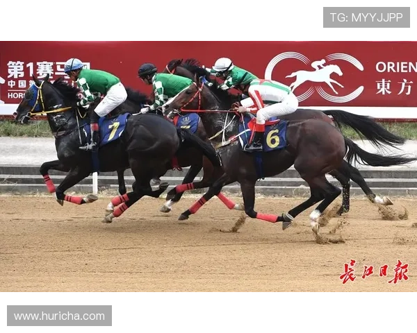 全面解析澳门赛马日程表2024赛季比赛时间与赛事亮点