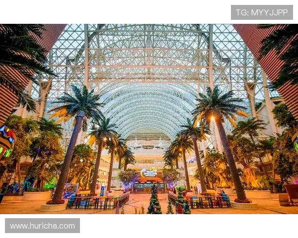 新世纪娱乐场：多样化的娱乐设施，满足不同年龄层玩家的多样化需求