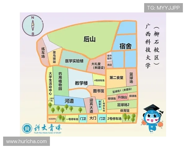 掌握回力球场平面图绘制的关键步骤与注意事项