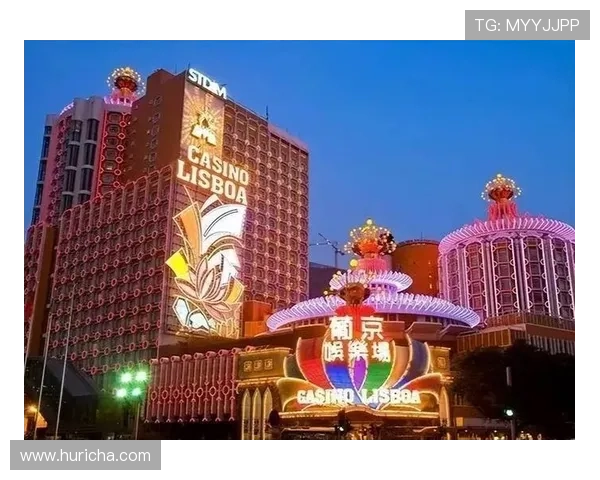 澳门娱乐场所下载大全，掌握澳门最火爆的娱乐地点信息