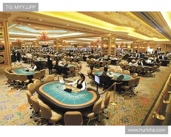 新濠博亚(澳门)股份有限公司在澳门博彩行业中的成功经验与未来扩展计划详尽分析 新濠博亚(澳门)股份有限公司在澳门博彩行业中的成功经验与未来扩展计划详尽分析