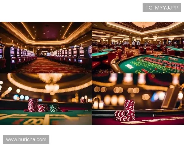 澳门十大赌厅的详细介绍，助你轻松规划最佳赌博行程